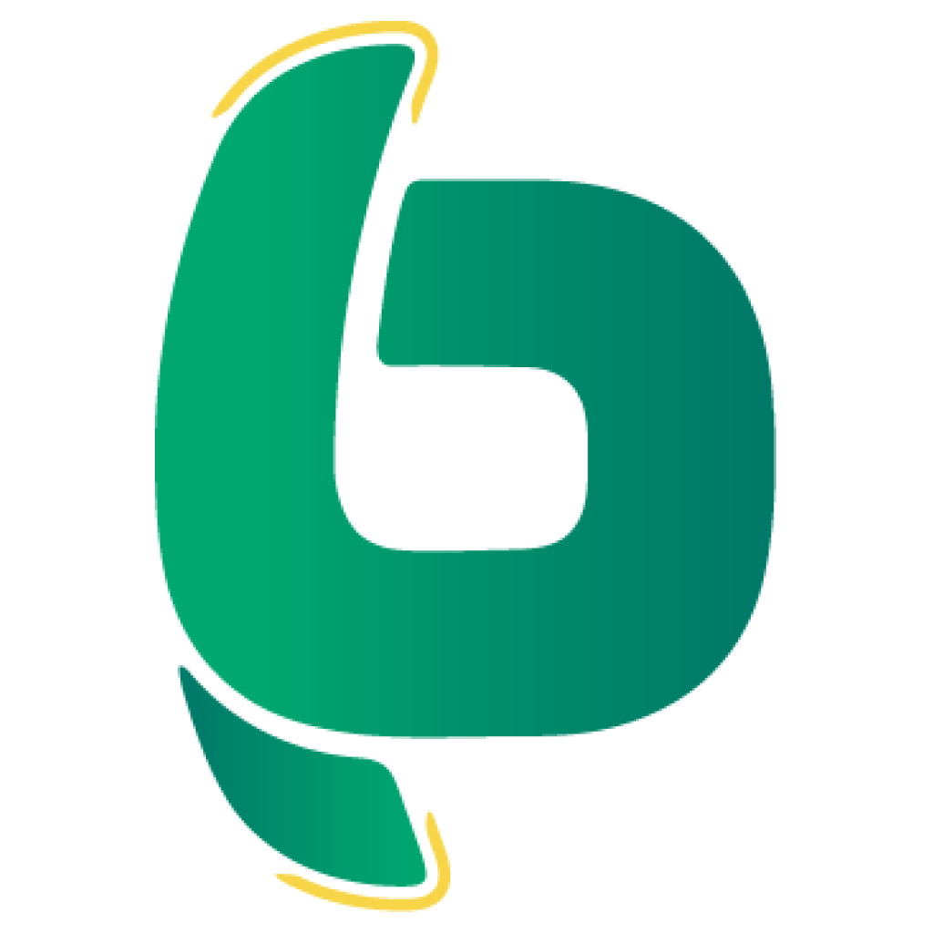 assets/images/barnoinpay-icon.png