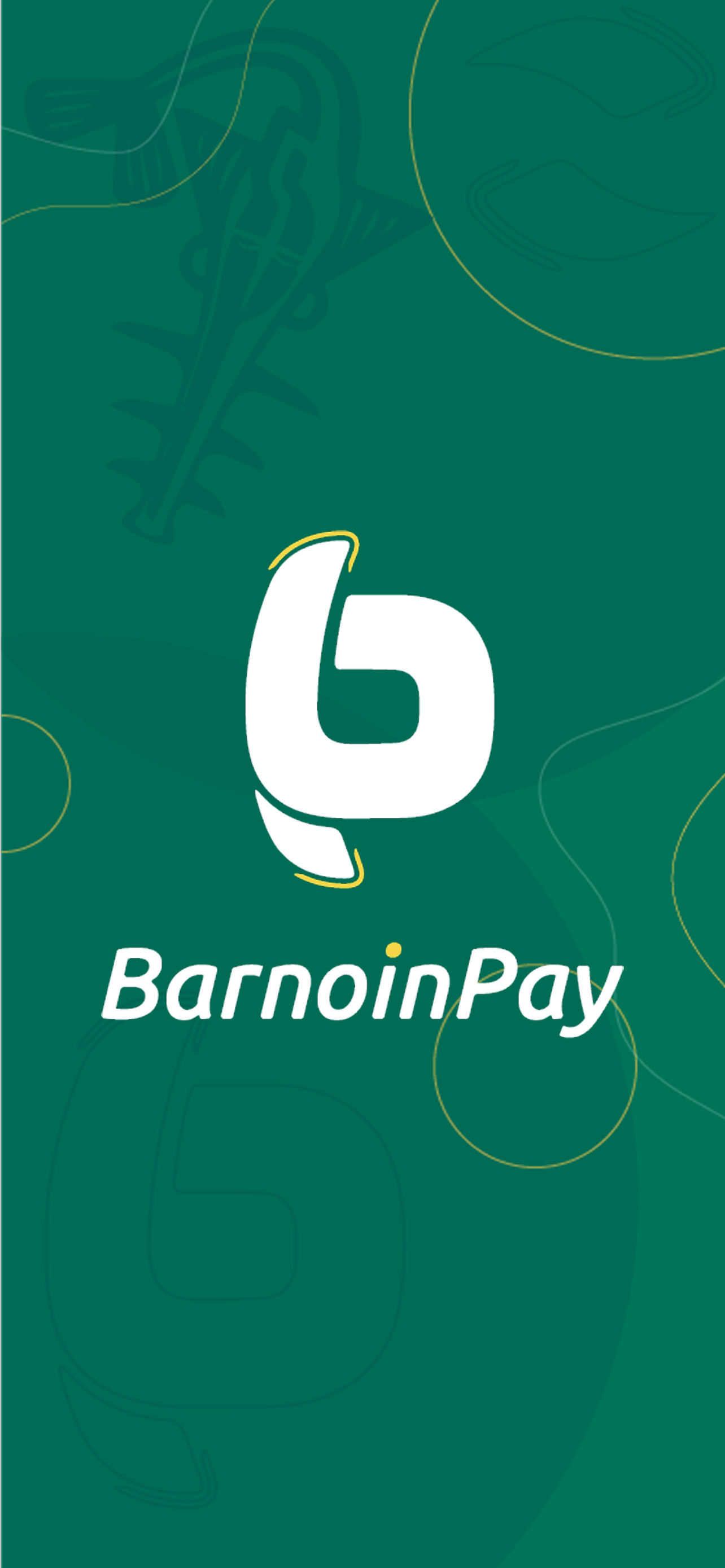 assets/images/barnoinpay-splash.png